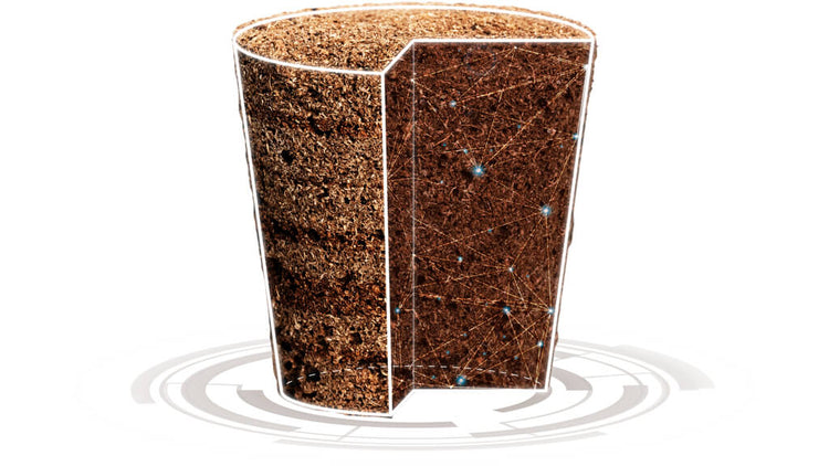 Cutaway of a Smart Soil plant pod showing its nanostructure