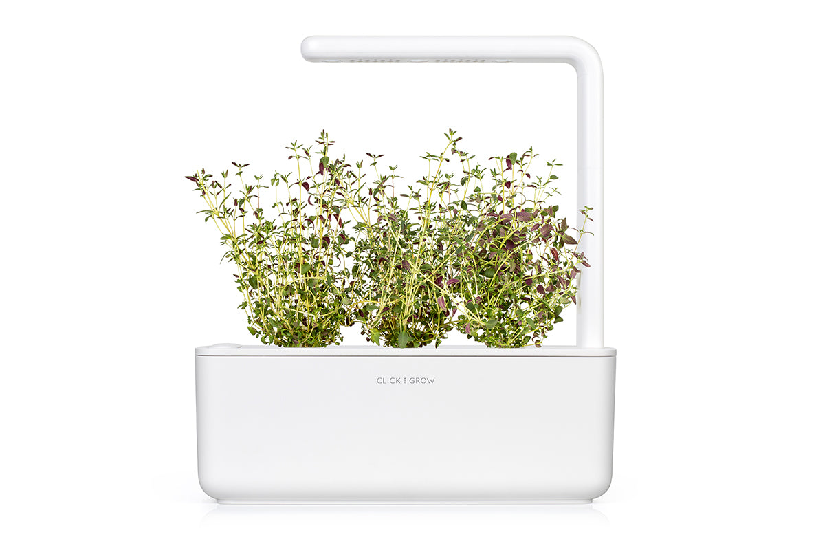 Thyme Plant Pods 9-pack
