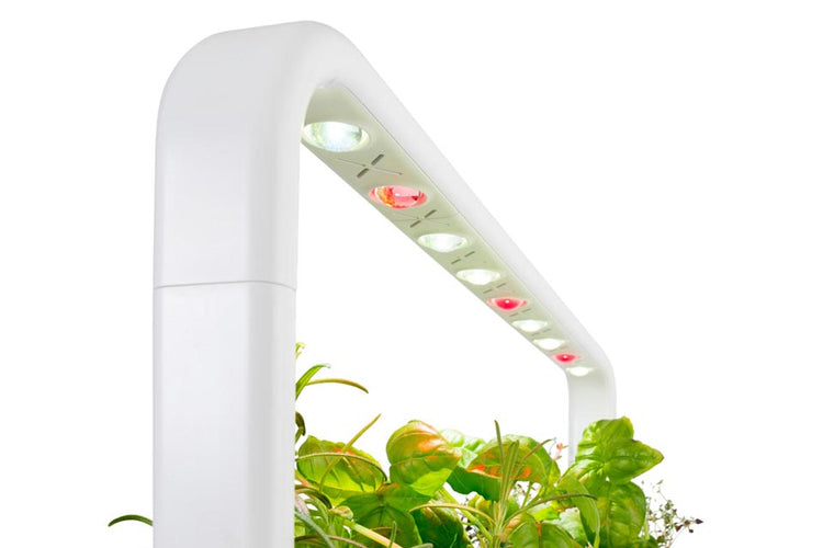 Professional grow lights