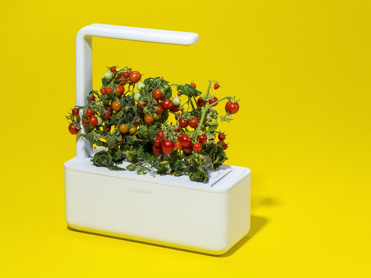 Grow herbs all year round with a smart indoor garden. Grow fresh basil, fresh cilantro and many more with the Click & Grow plant growing kit called the smart indoor garden. The best gift for plant lover!