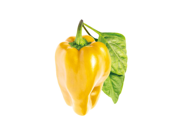 Yellow Sweet Pepper Plant Pods 9-pack