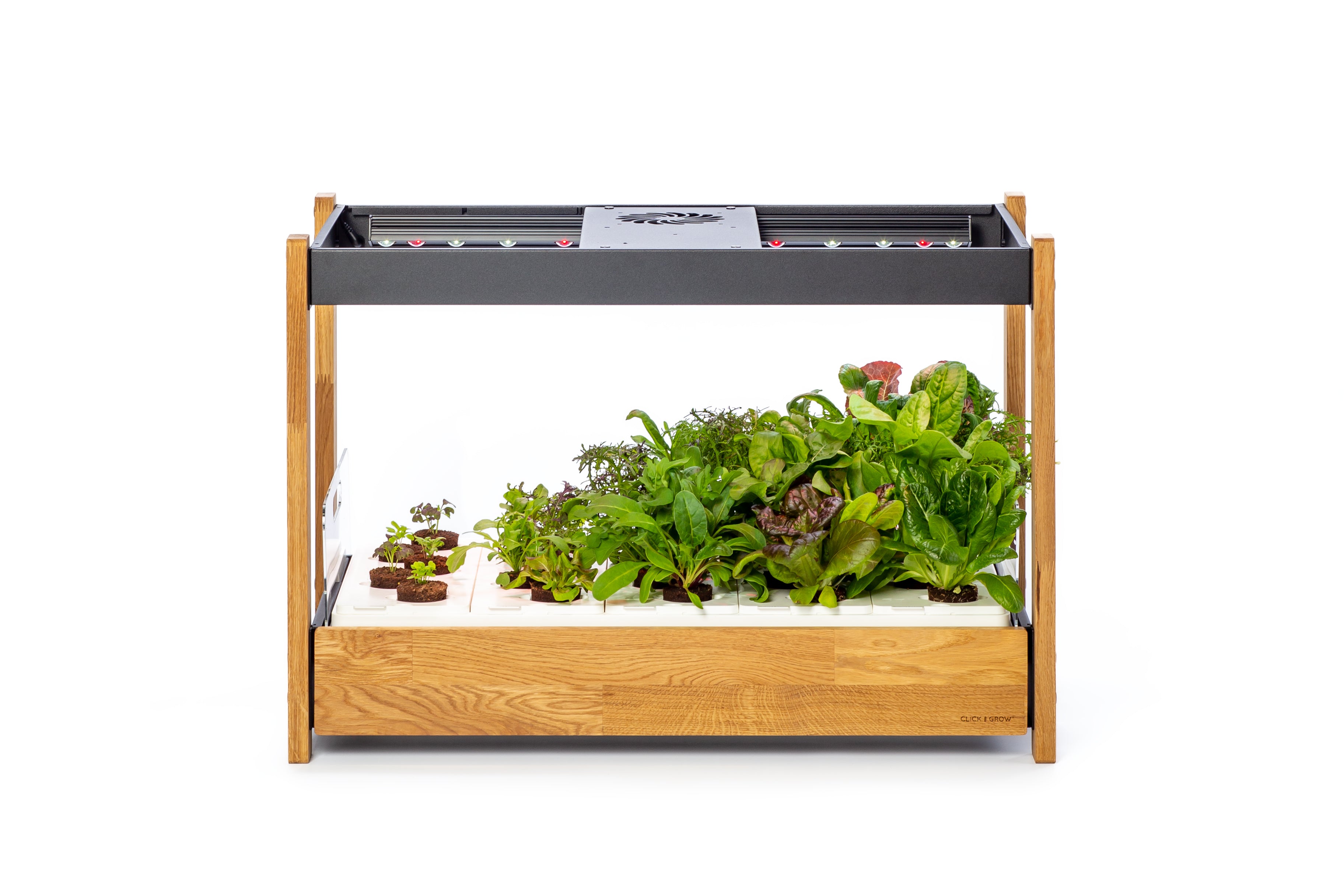 The Click Grow 25 Indoor garden for healthy fresh home grown