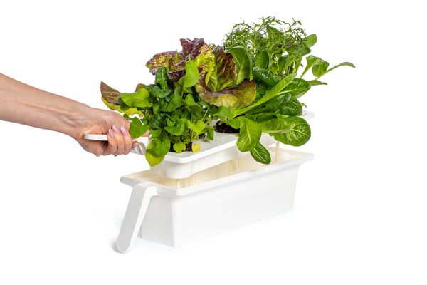 Tray Holder for Click  and  Grow 25