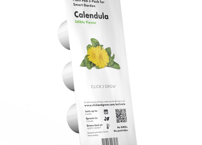Calendula Plant Pods - 3-pack