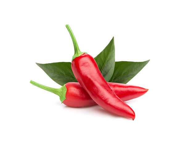 Chili Pepper Plant Pods 3-pack