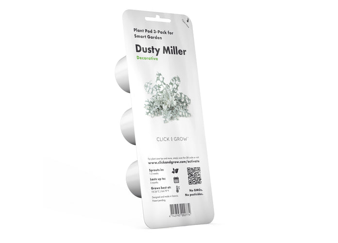 Dusty Miller Plant Pods - 3-pack