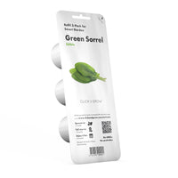 Green Sorrel Plant Pods / Green Sorrel Plant Pods