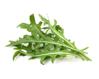 Leaf Mustard Refill / Leaf Mustard Refill