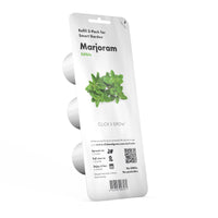 Marjoram Plant Pods / Marjoram Plant Pods