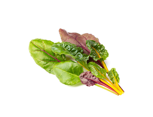 Rainbow Chard Plant Pods