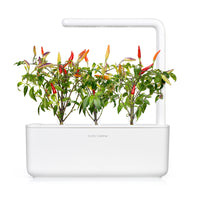 Red Hot Chili Pepper Plant Pods / Red Hot Chili pepper capsule - Click & Grow indoor herb garden - Grow Chili Pepper at home with an indoor garden