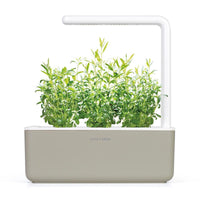 Hyssop Refill / Hyssop Refill