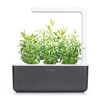 Hyssop Refill / Hyssop Refill