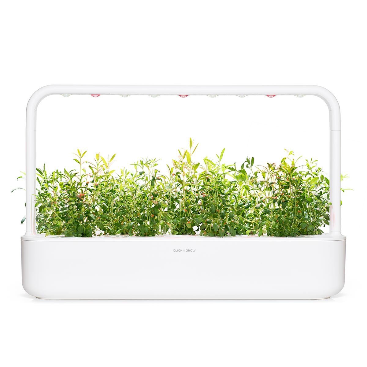 Hyssop Refill / Hyssop Refill