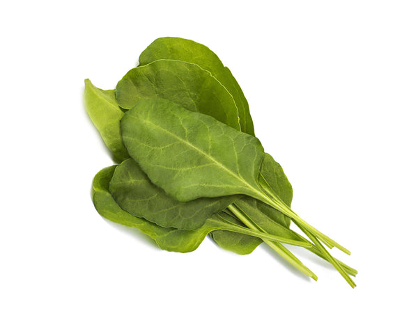 Green Chard Plant Pods 3-pack