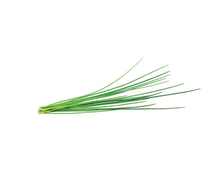 Chives Refill / Chives Refill