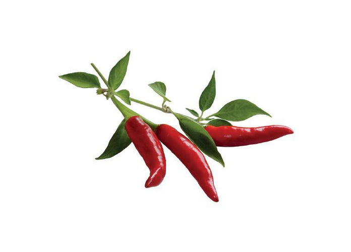 Chili Pepper Refill