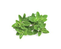 Marjoram Refill / Marjoram Refill