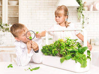 The Smart Garden 9 / The Smart Garden 9